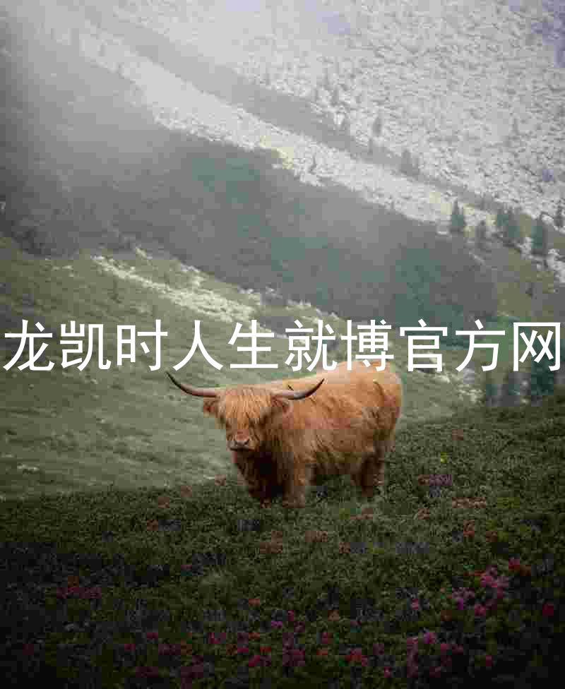 尊龙凯时人生就博官方网站