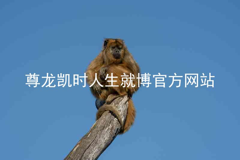 尊龙凯时人生就博官方网站